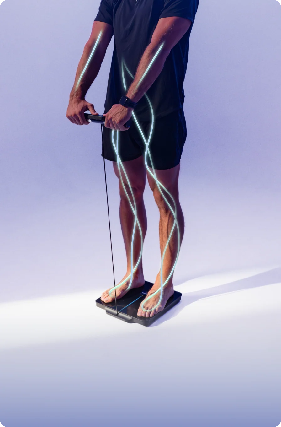 Segmental Fat &
Muscle Analysis